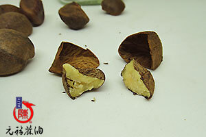 苦茶籽播開 苦茶籽播開