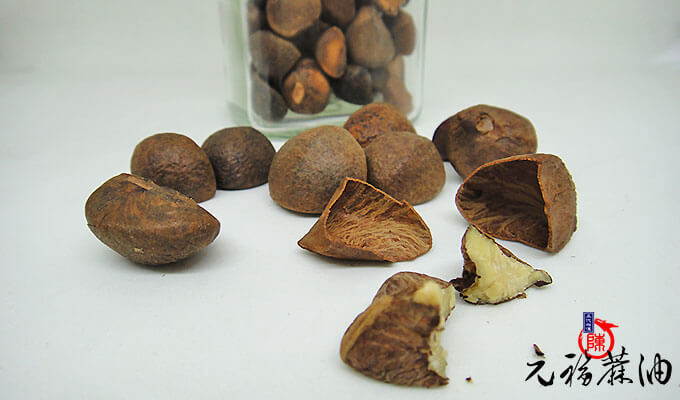 苦茶油製程中的焙炒會破壞苦茶油營養嗎?